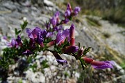 Anello del Pizzo di Spino il 21 aprile 2015  - FOTOGALLERY